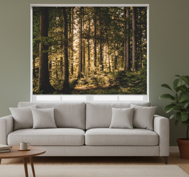Rolgordijn woonkamer nature middagbos - TenStickers