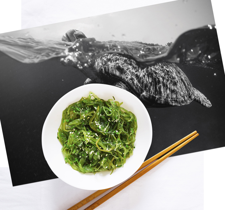 Houten placemat schildpad onderwater scène - TenStickers