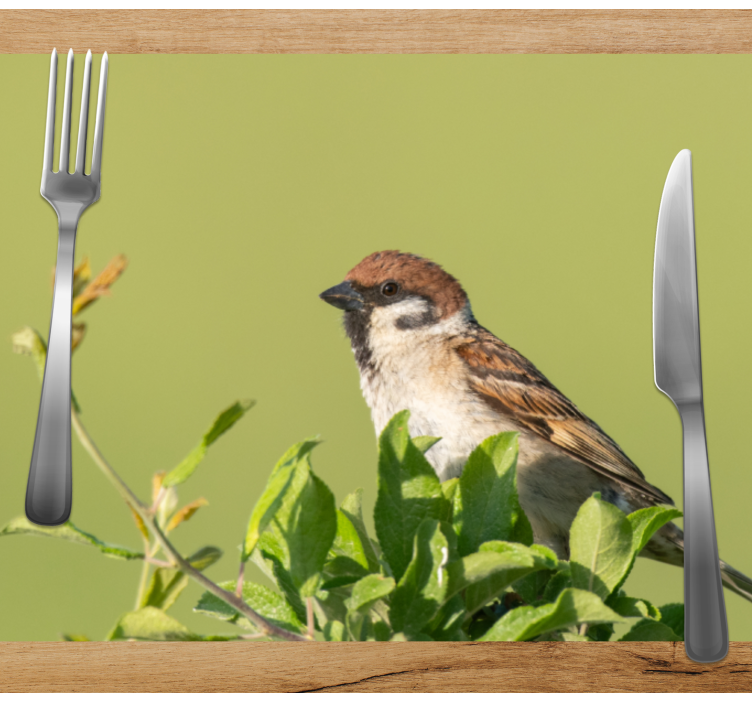 Moderne placemat vogel op groen - TenStickers