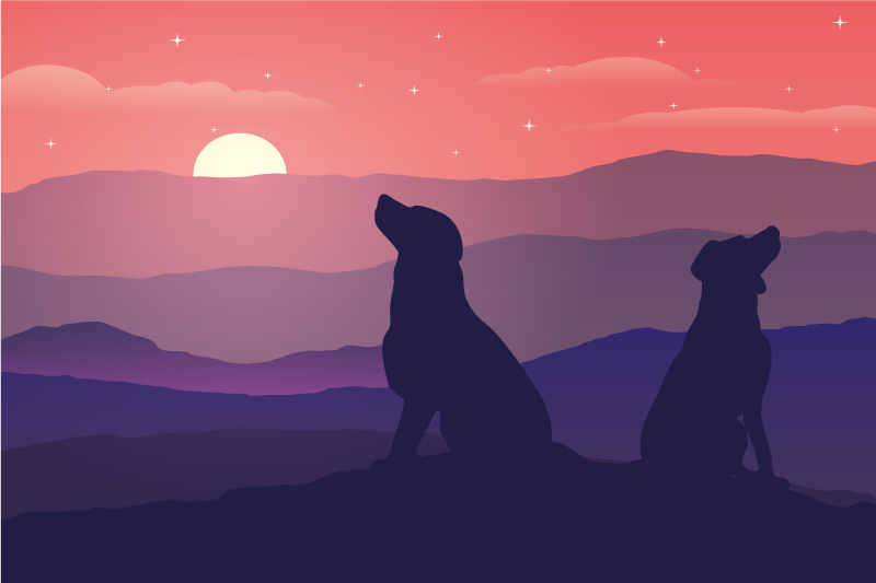 Originele placemat silhouetten van honden zonsondergang - TenStickers