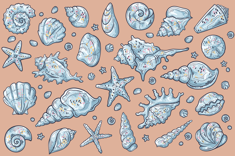 Originele placemat met schelpenpatroon showcase - TenStickers