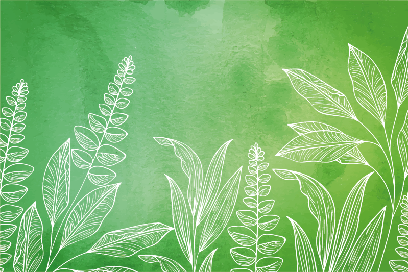 Kinder placemat theeset met bladeren - TenStickers