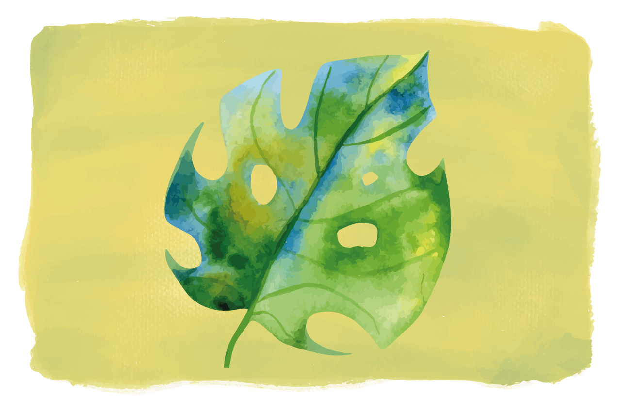 Originele placemat monstera blad design - TenStickers