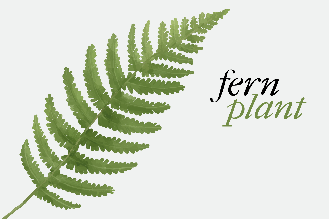 Originele placemat varenplant display - TenStickers