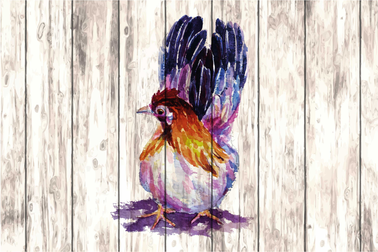 Originele placemat kleurrijke vogelillustratie - TenStickers