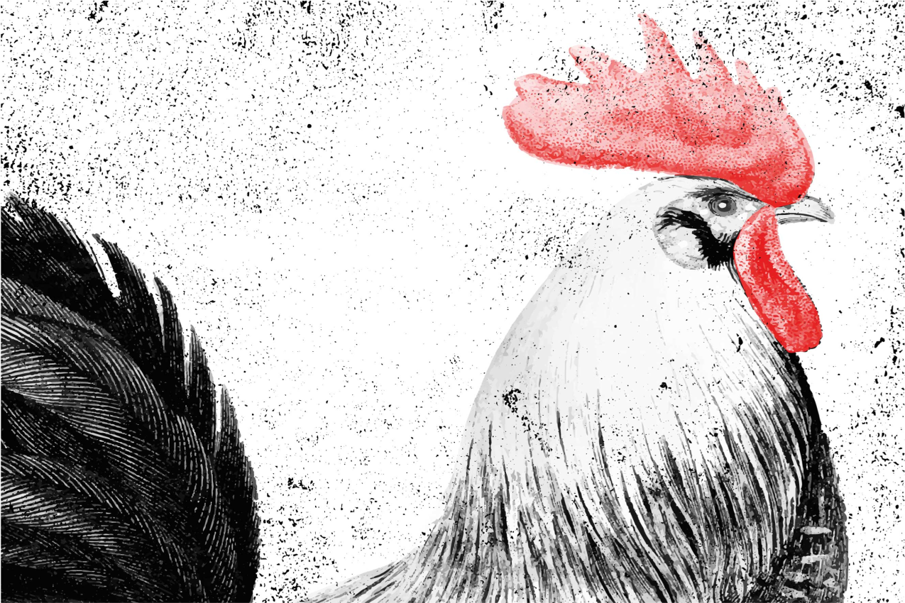 Originele placemat met roosterillustratie - TenStickers