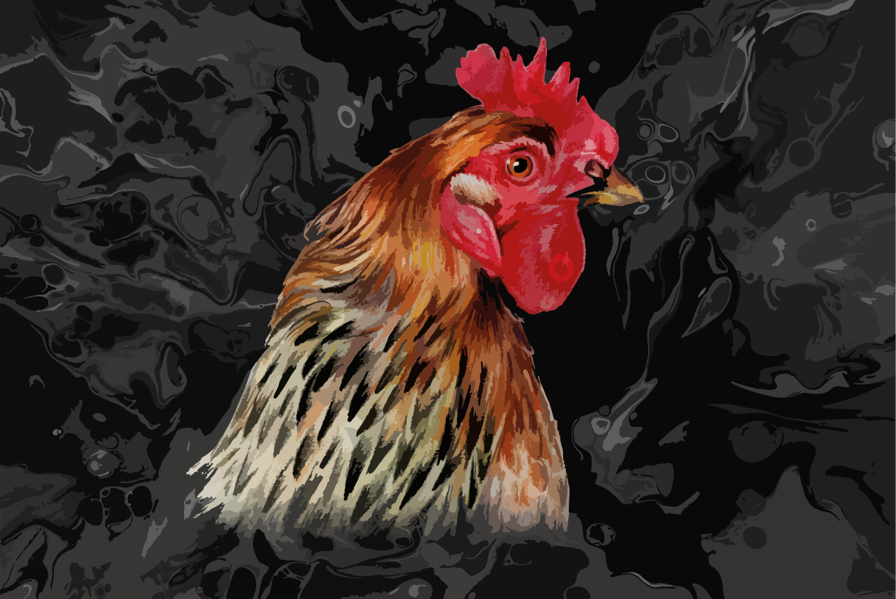 Originele placemat kleurvol kippenportret - TenStickers