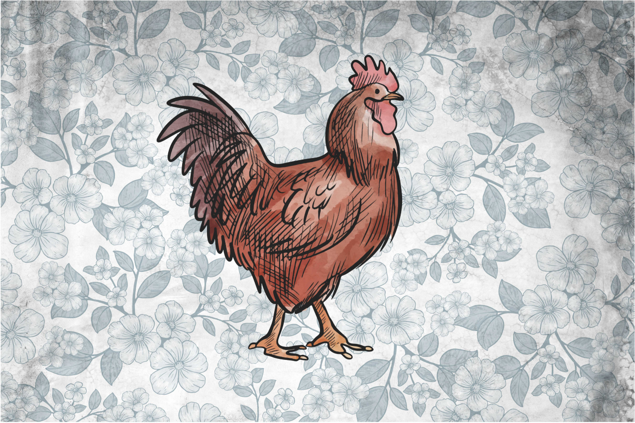 Originele placemat rustieke kippenillustratie - TenStickers