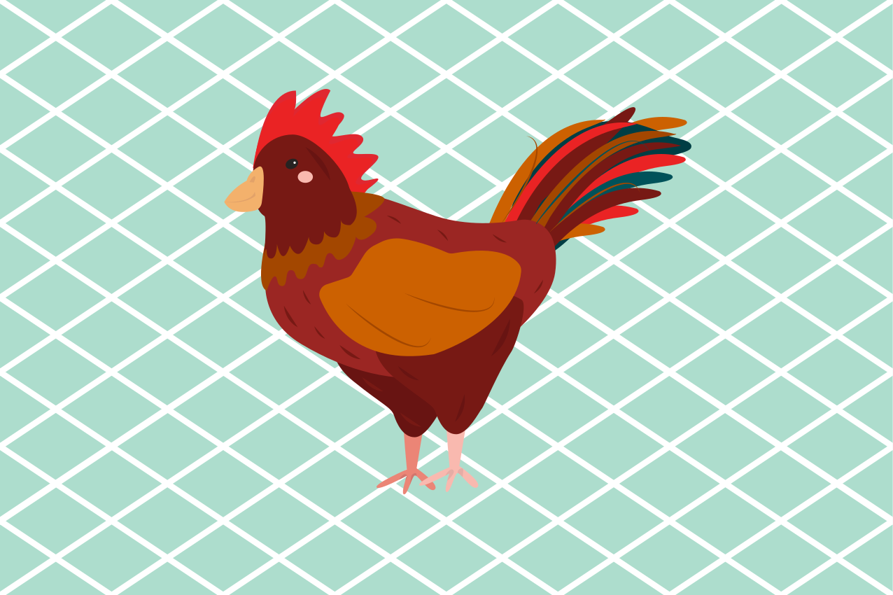 Originele placemat met charmante haan illustratie - TenStickers