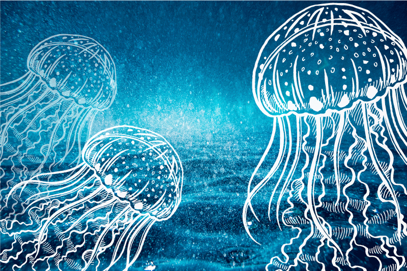 Originele placemat medusa oceaanscène - TenStickers