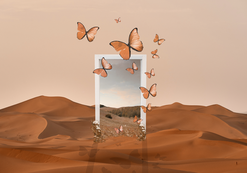 Originele placemat vlinders ontluikend frame - TenStickers