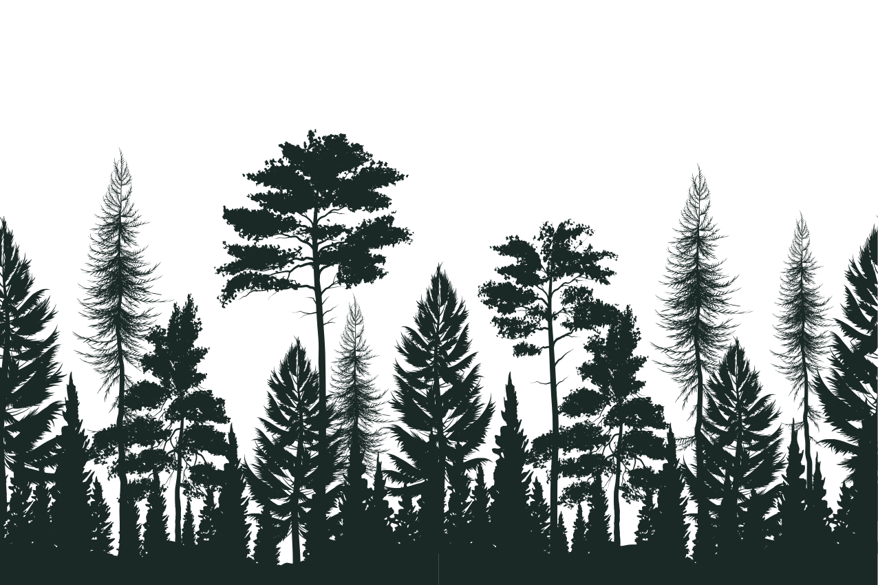 Houten placemat silhouet bospatroon - TenStickers