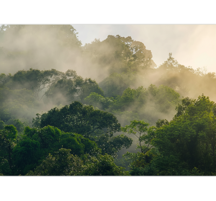 Behang bos weelderige jungleboog - TenStickers