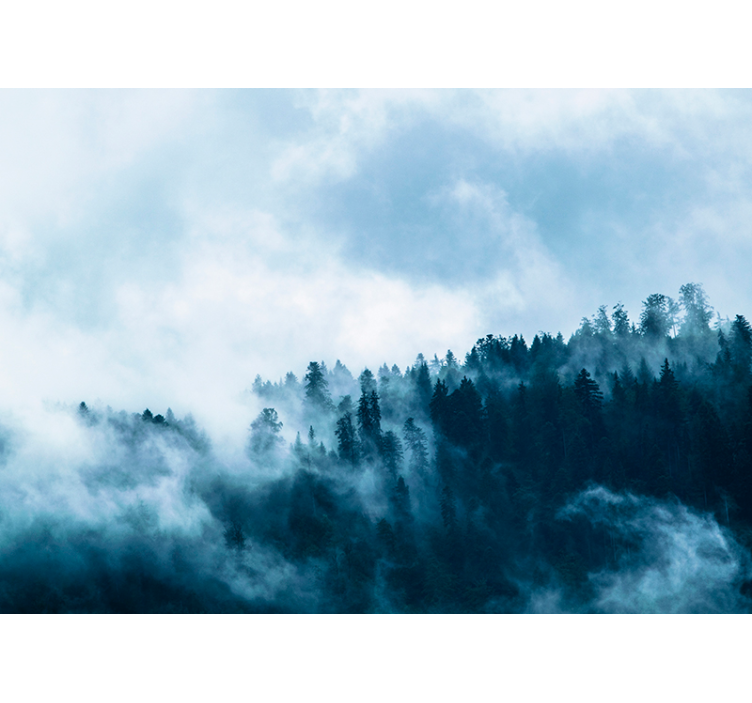 Fotobehang bos met wolken - TenStickers