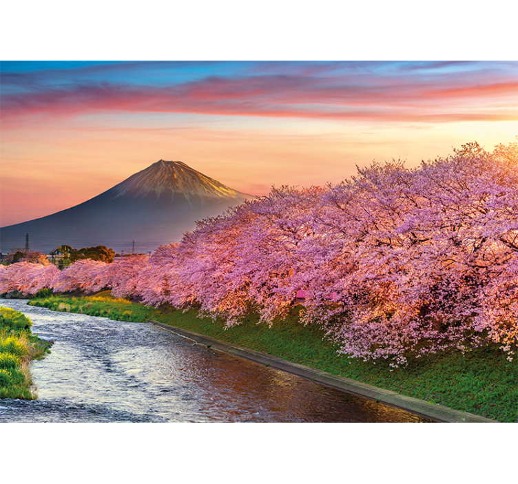 Kersenbloesems op de berg fuji fotobehang landschap - TenStickers