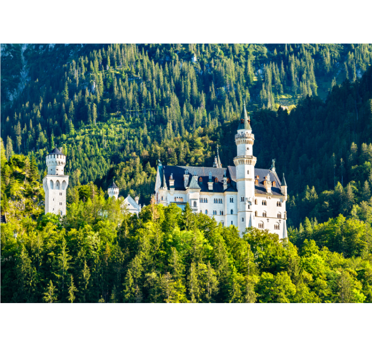 Fotobehang steden en landen neuschwanstein kasteel uitzicht - TenStickers