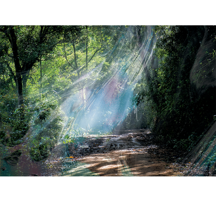 Fotobehang natuur stralend bospad - TenStickers