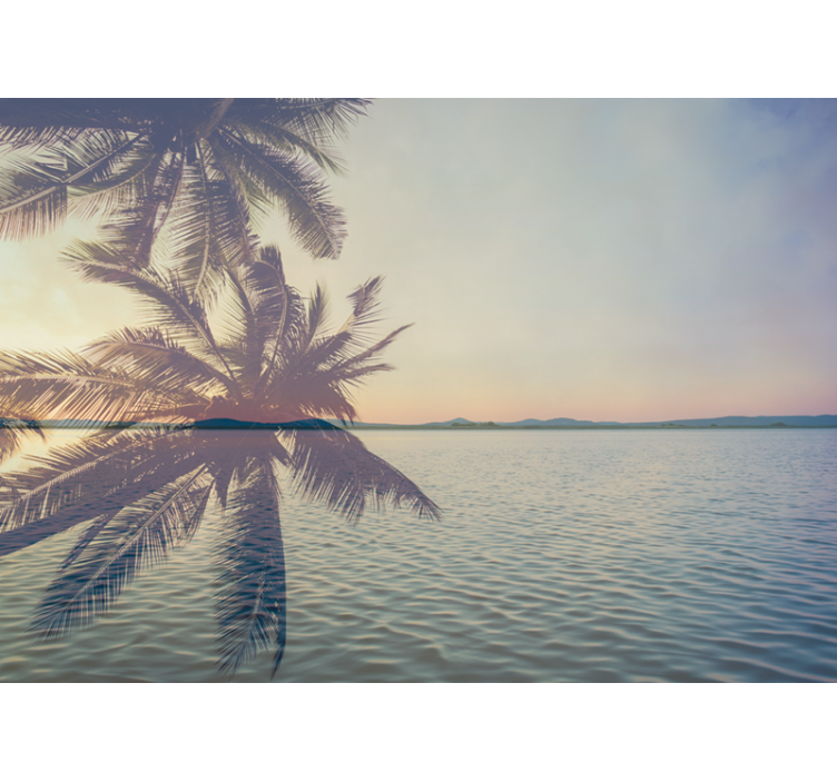 Foto behang natuur serene palm silhouet - TenStickers