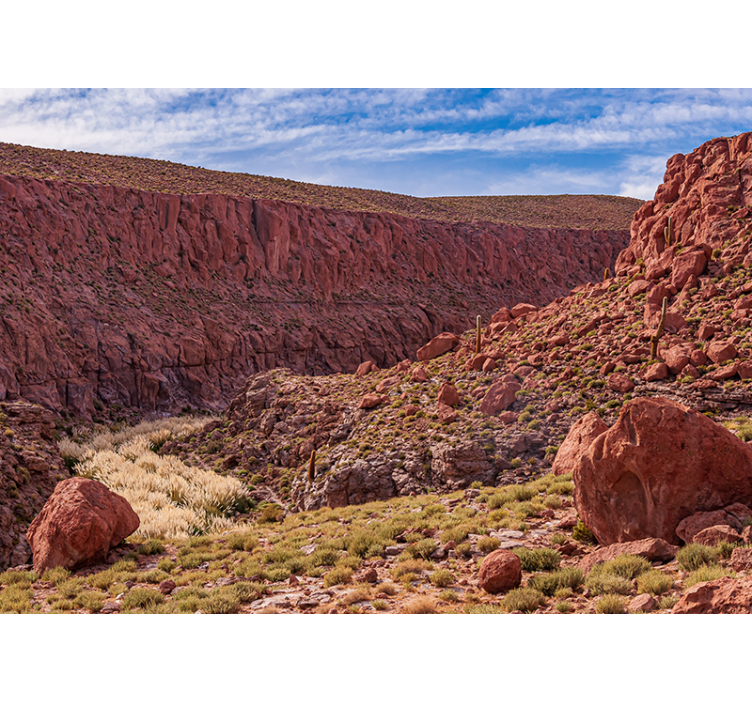 Rood woestijnlandschap foto behang bergen - TenStickers