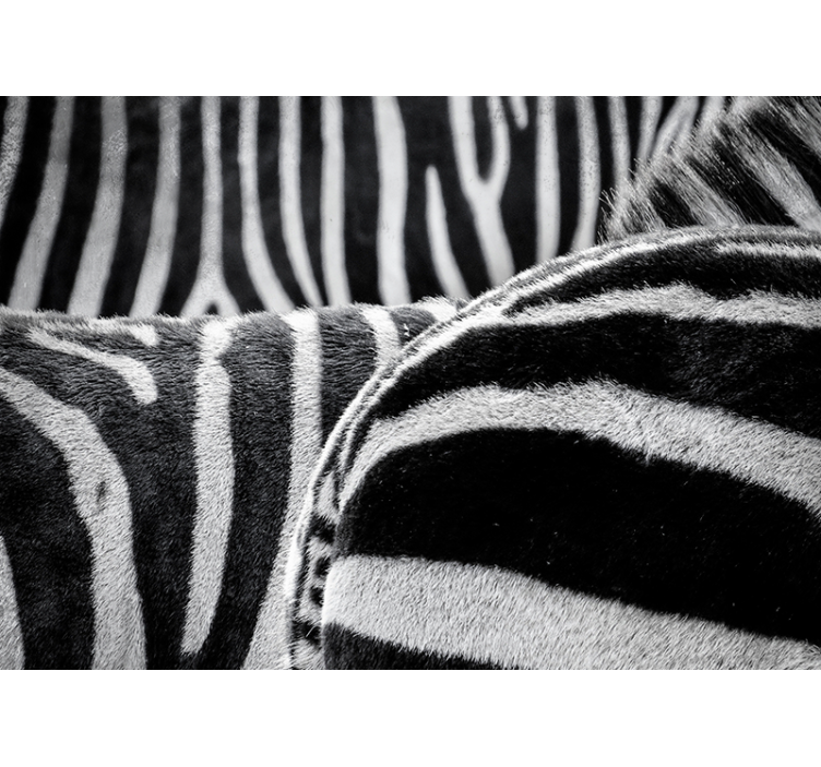 Realistische zebrastrepen fotobehang dieren - TenStickers