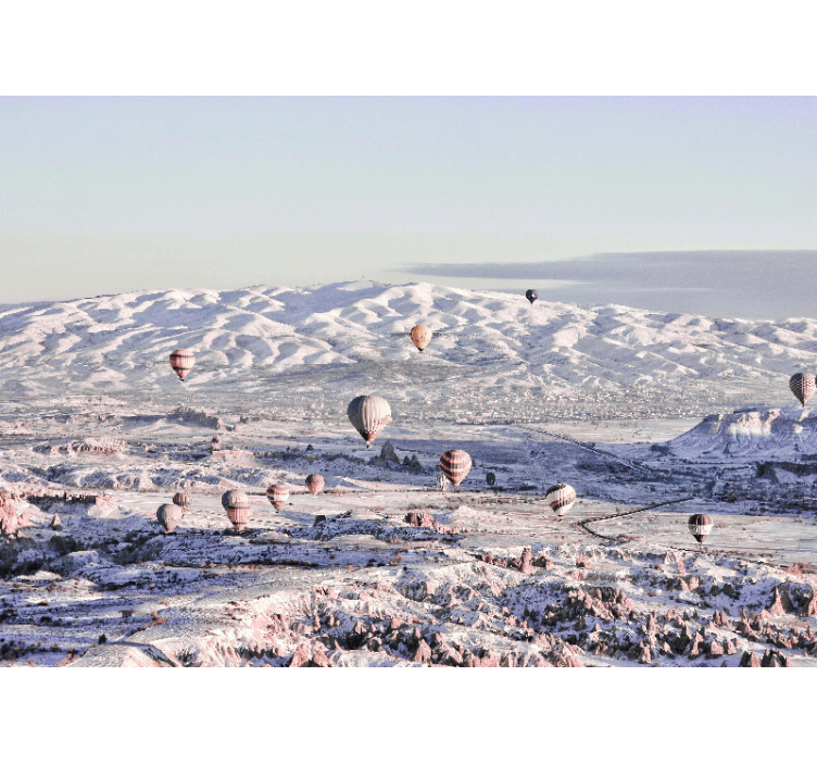 Luchtballonnen panorama fotobehang landschap - TenStickers