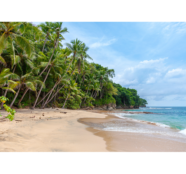 Foto behang natuur tropisch strand oasis - TenStickers