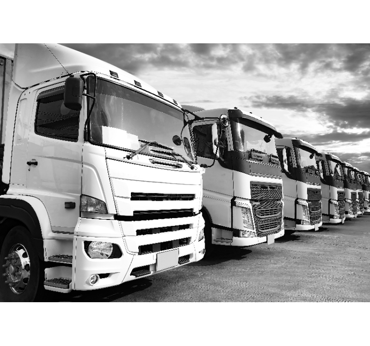 Fotobehang voertuigen trucks lineup - TenStickers