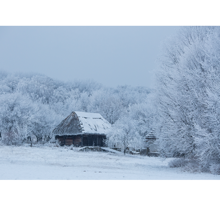 Besneeuwd winterlandschap fotobehang landschap - TenStickers