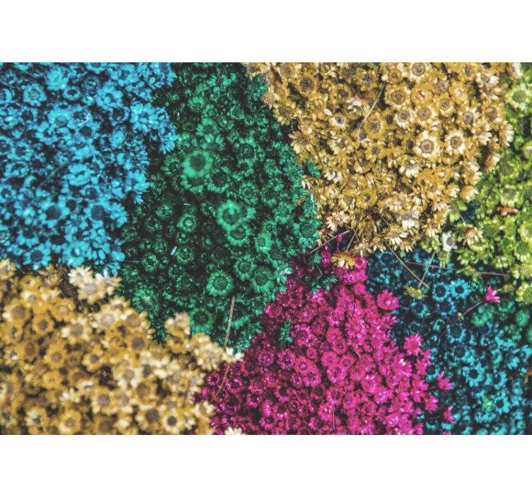 Fotobehang bloemen kleurrijke bloemmotieven - TenStickers