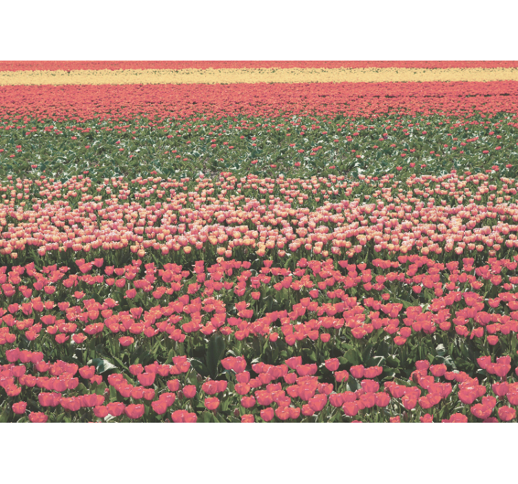 Fotobehang bloemen tulpenveld landschap - TenStickers