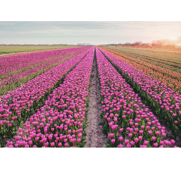 Fotobehang bloemen tulpenweide landschap - TenStickers
