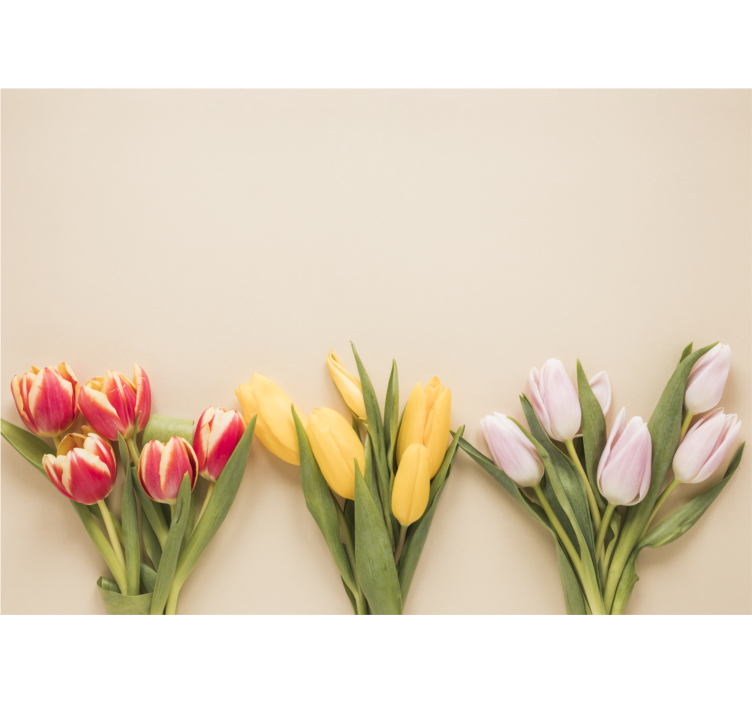 Fotobehang bloemen kleurige tulp arrangement - TenStickers