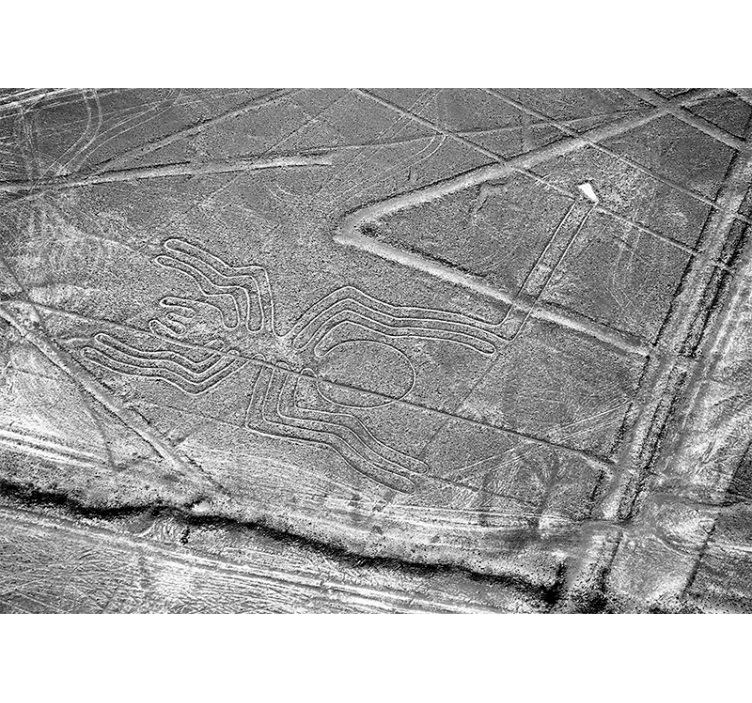 Fotobehang dieren nazca spinnen geoglyf - TenStickers