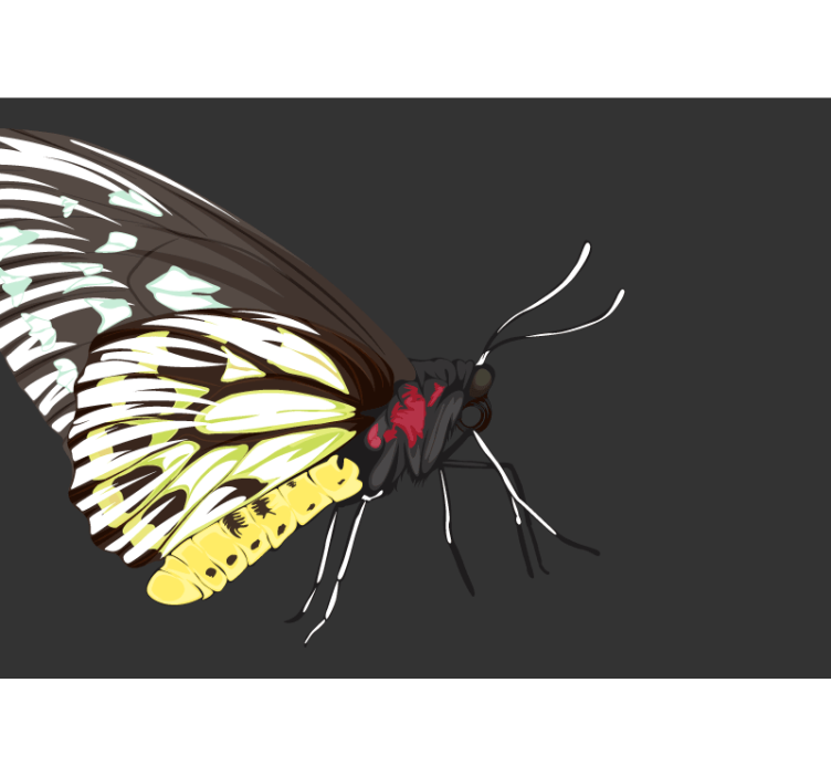 Geel vlinderontwerp fotobehang anders - TenStickers