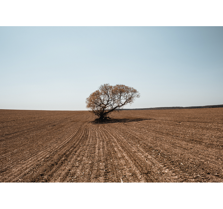 Foto behang natuur eenzame boom landschap - TenStickers