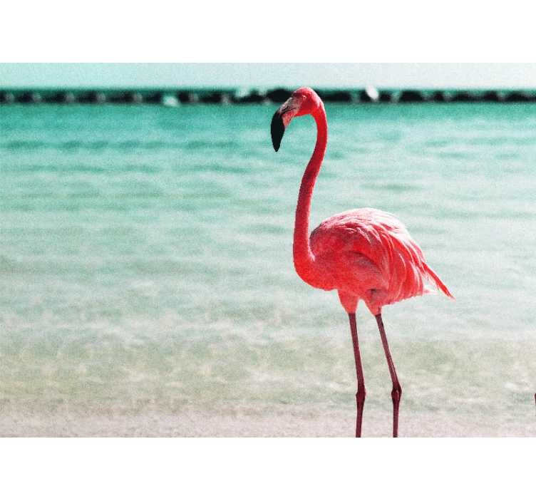 Fotobehang dieren elegante flamingo houding - TenStickers