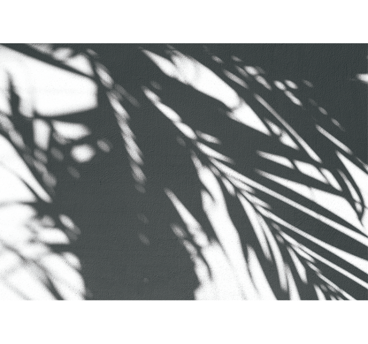 Foto behang natuur schaduwachtige palm patronen - TenStickers