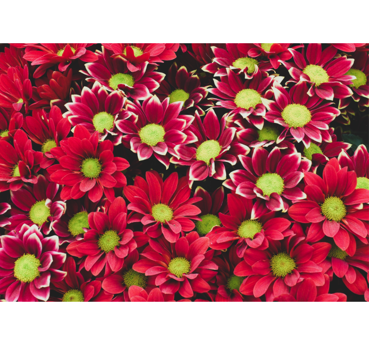 Fotobehang bloemen crimson bloesem compositie - TenStickers