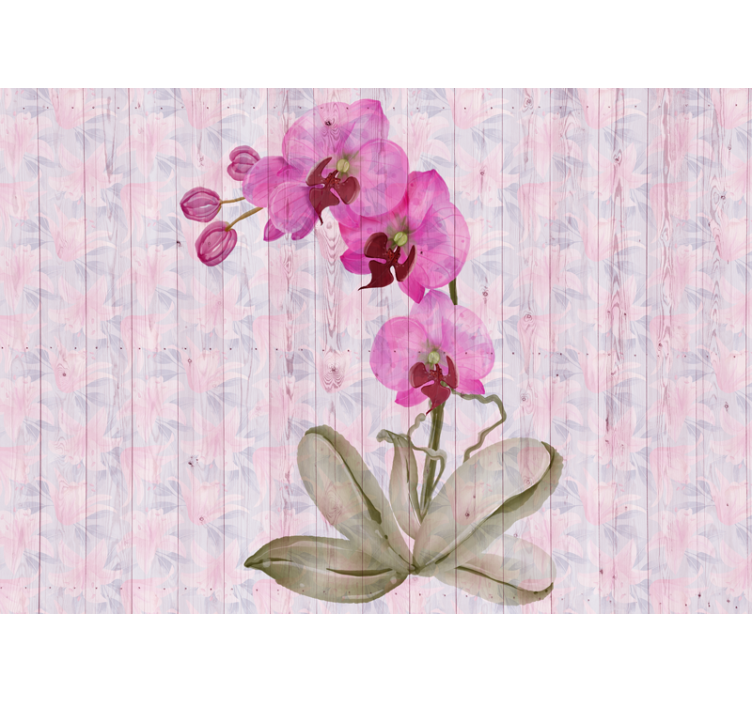 Fotobehang bloemen roze orchideeën bloei - TenStickers