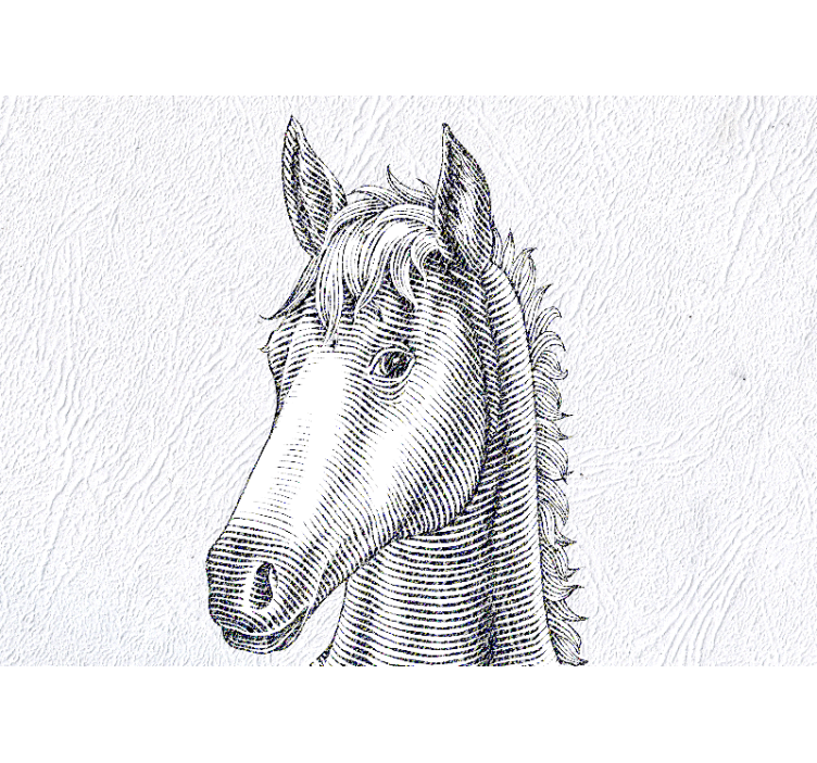 Fotobehang dieren elegante paardenportret - TenStickers