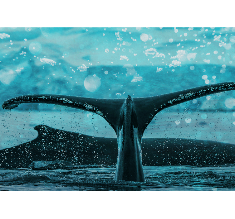 Fotobehang dieren walvissenstaart spetter - TenStickers