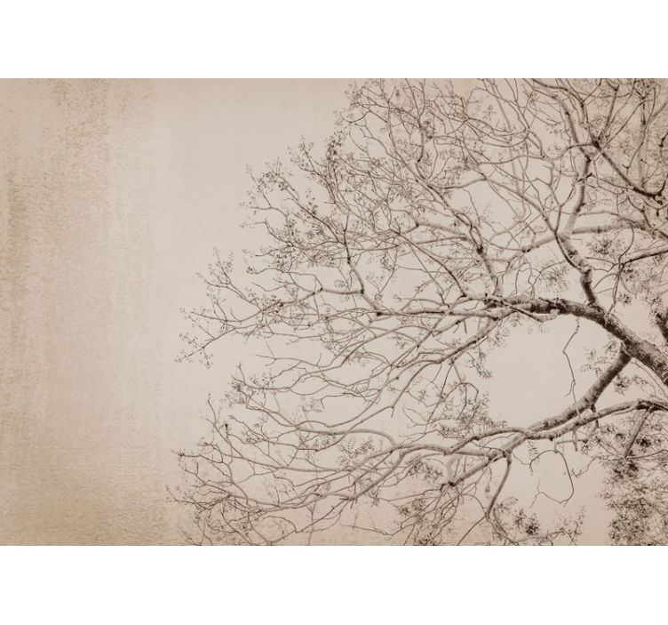 Bomen fotobehang mooie vertakkende silhouet - TenStickers