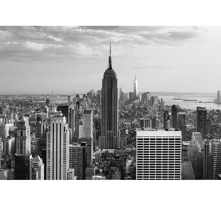 Foto behang new york empire state stadslandschap - TenStickers
