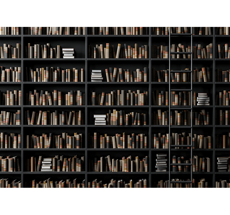 Fotobehang stenen bibliotheek boek assortiment - TenStickers