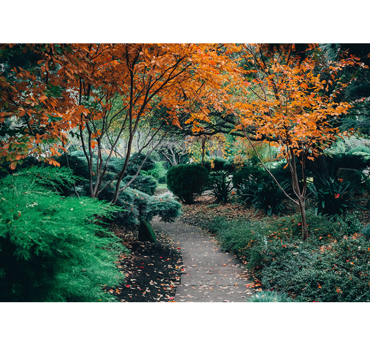 Foto behang natuur pad tussen bomen - TenStickers