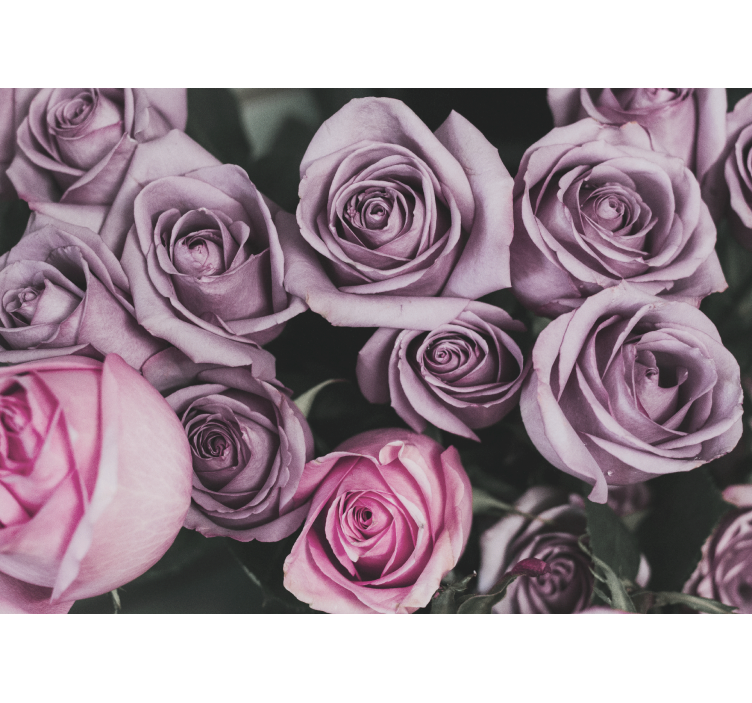 Fotobehang bloemen lavendel rozenboeket - TenStickers