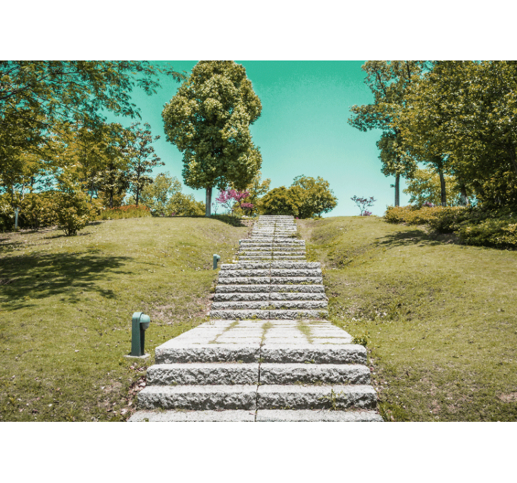 Fotobehang natuur trap door de natuur - TenStickers