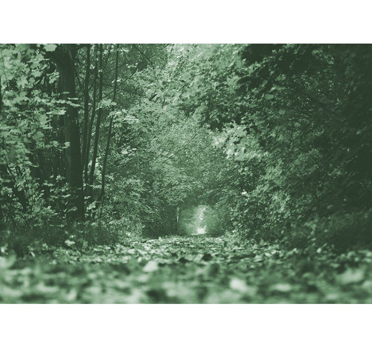 Foto behang bos lush woodland path - TenStickers