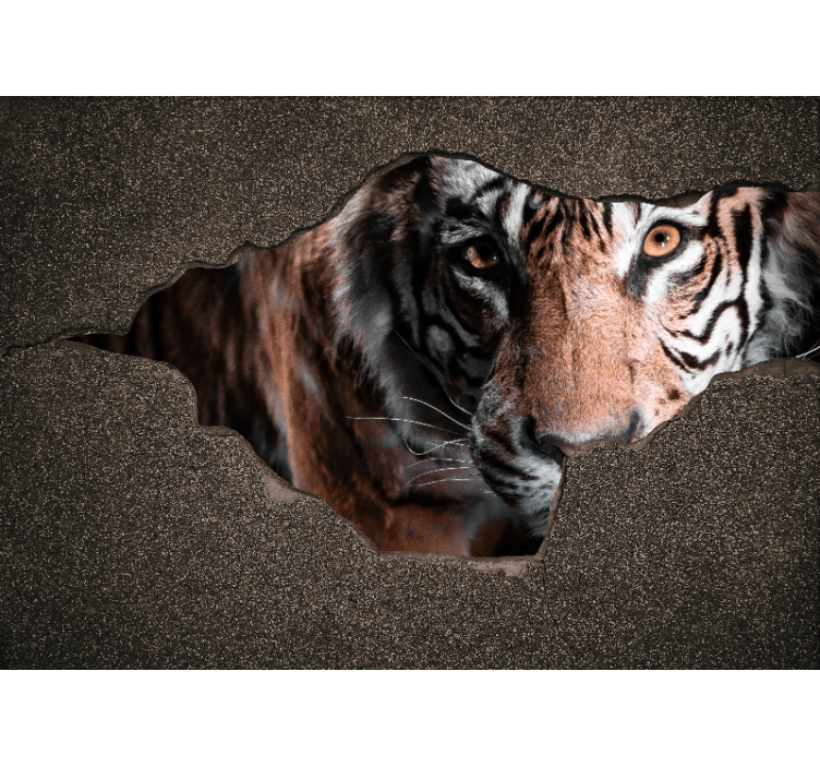 Foto behang diverse dieren tijger close-up - TenStickers