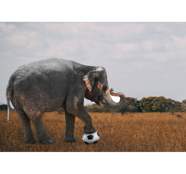 Foto behang diverse dieren olifant die voetbal speelt - TenStickers